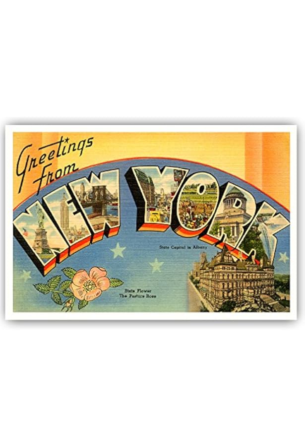 61jAasm+sgL._AC_UL900_SR615,